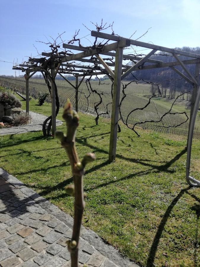 Ratsch an der Weinstraße Das Weinberghaus מראה חיצוני תמונה
