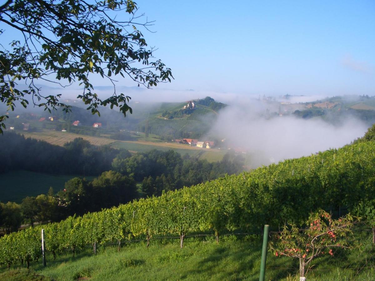 Ratsch an der Weinstraße Das Weinberghaus מראה חיצוני תמונה